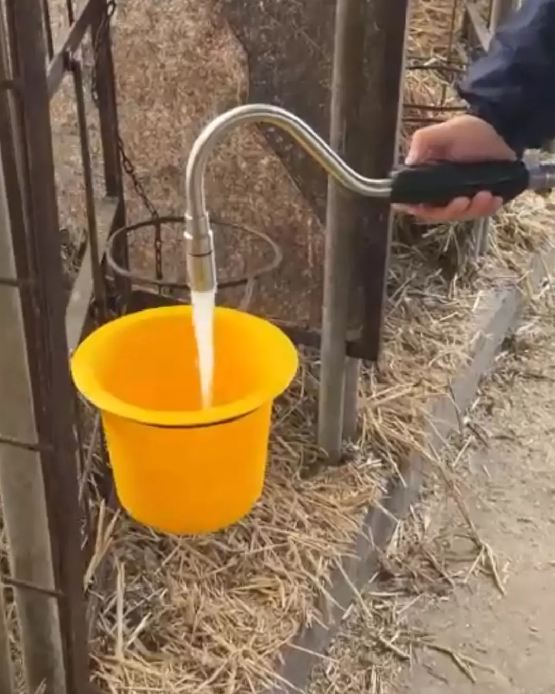 Sistema de dosificación de leche RODEG llenando un balde para terneros
