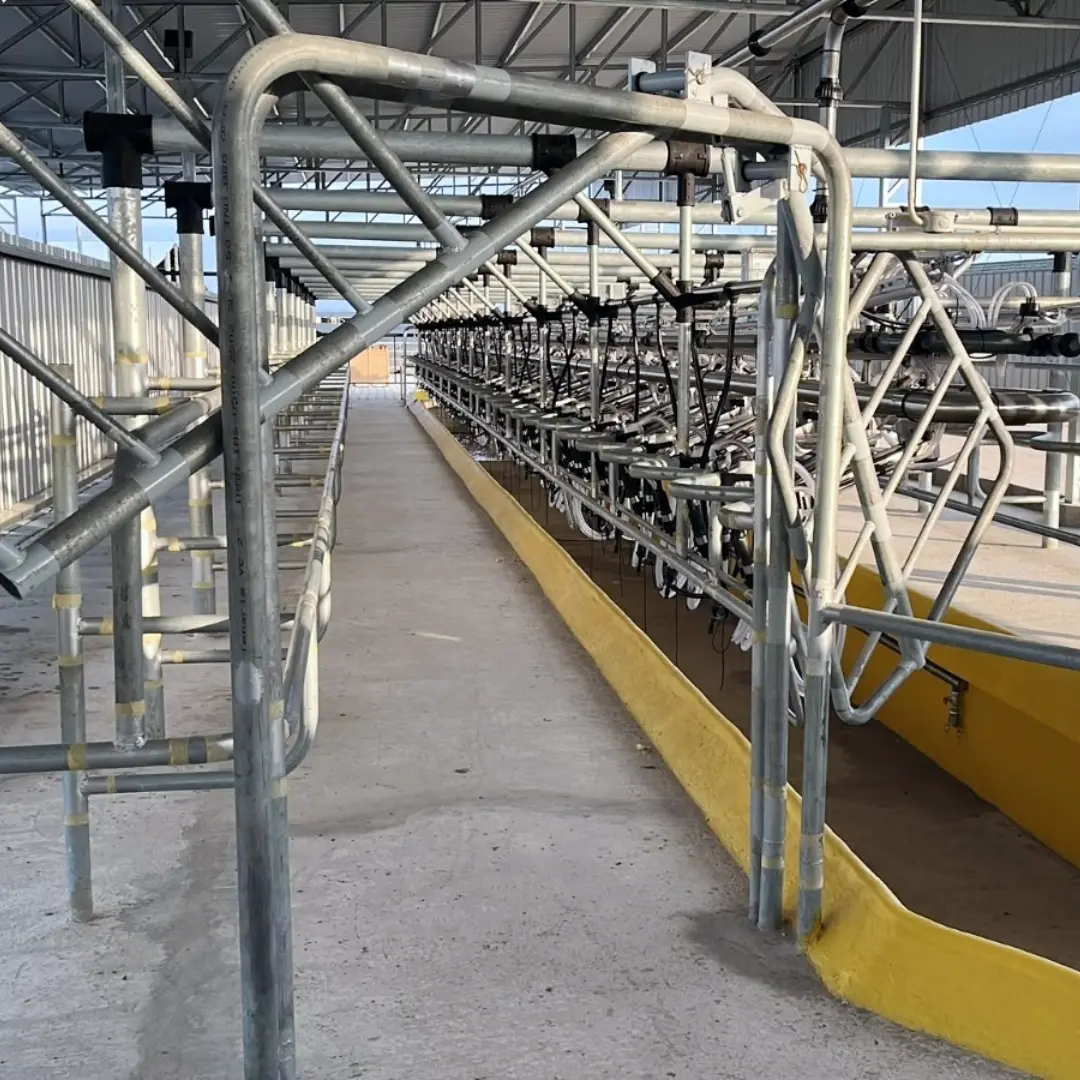 Bretes autoportantes RODEG en sala de ordeño