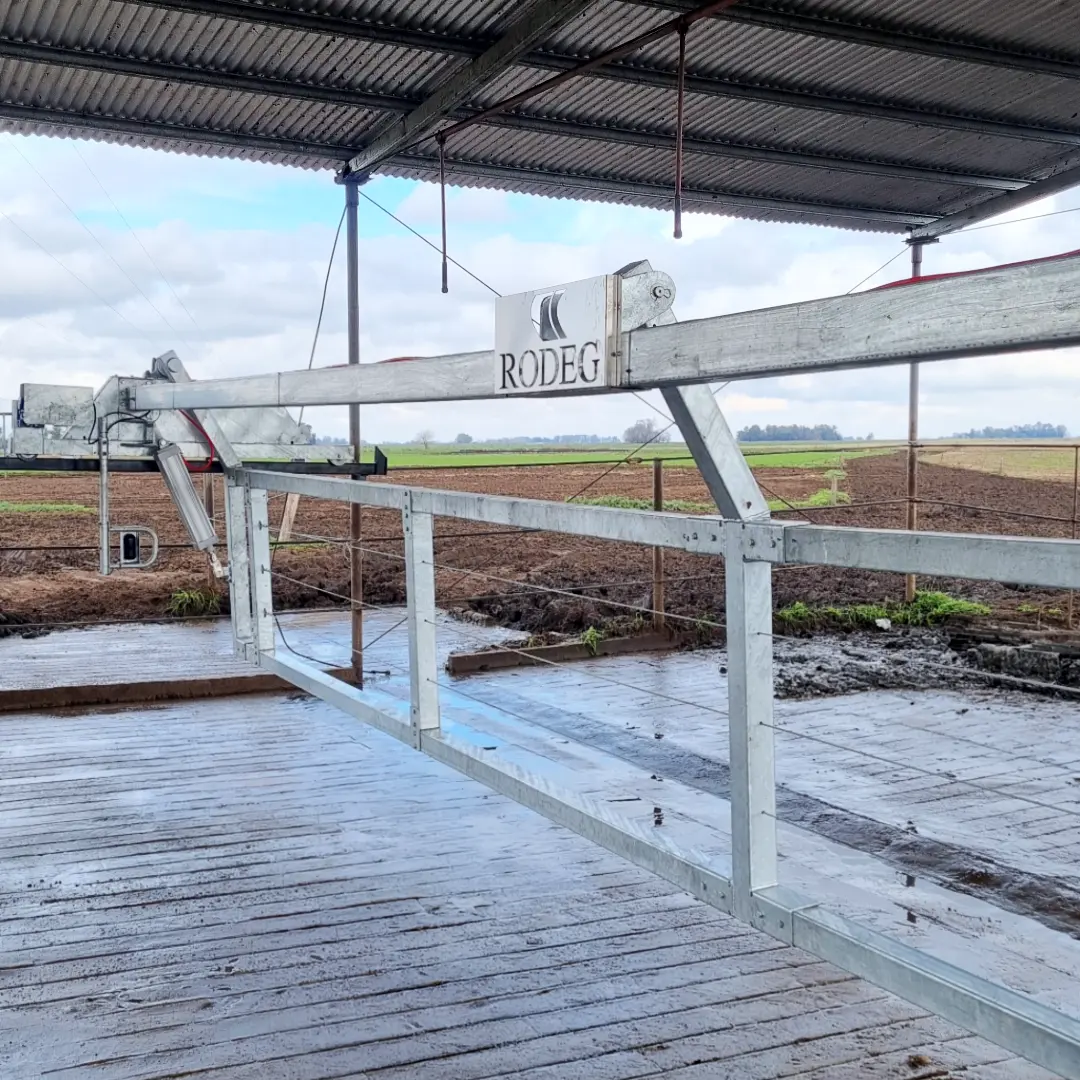 Manejo y corrales para tambos