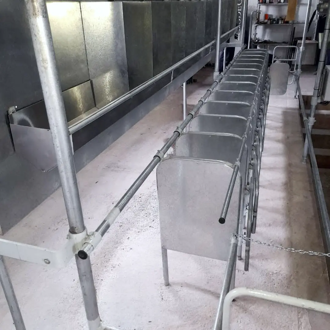 Máquinas para cabras y ovejas: funcionamiento paso a paso