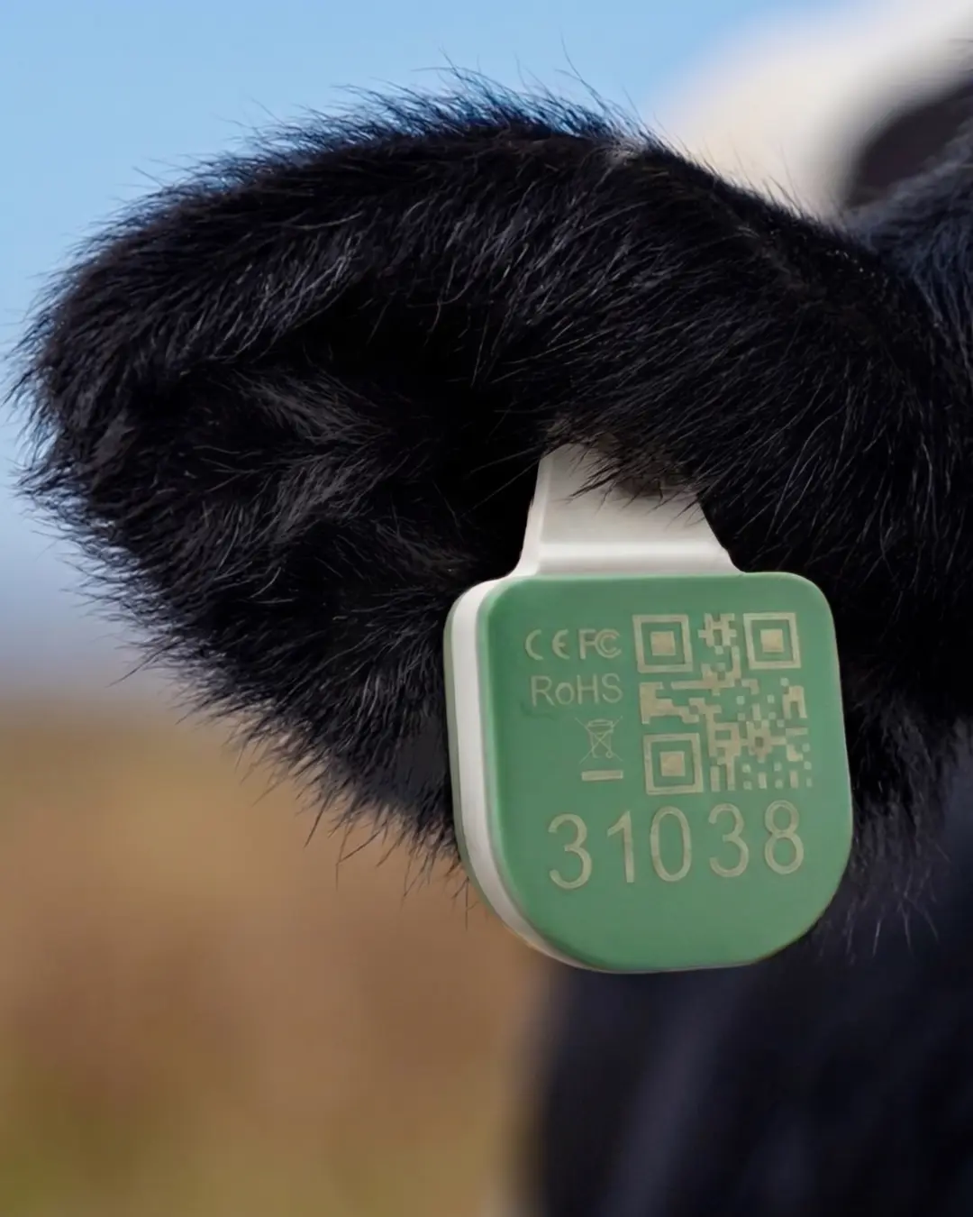 Smart Ear Tag