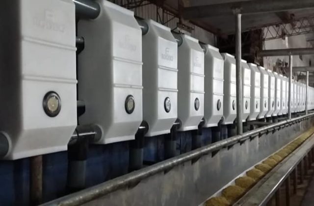 Instalamos Sistema de Alimentación Automático 30 + 30 para Kiwi Criollo en 30 de Agosto, Buenos Aires.