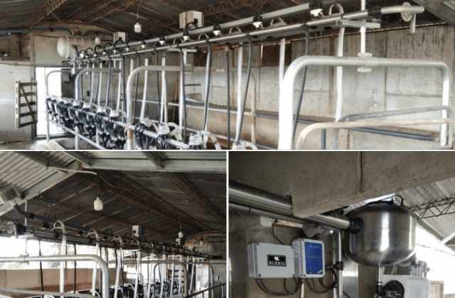 Instalamos Equipo de Ordeño Rodeg 2700 de 12 bajadas en Felicia