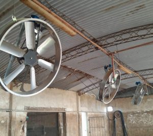 Ventiladores R - FAN 110 con motor de 1HP trifásico. 2 ▷ Ventiladores R - FAN 110 con motor de 1HP trifásico. 2 | RODEG ®