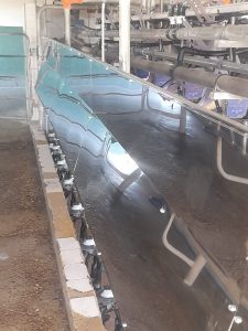 Chapones Anti Bosteo. 4 ▷ Chapones Anti Bosteo. 4 | RODEG ®