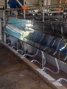 Chapones Anti Bosteo. 3 ▷ Chapones Anti Bosteo. 3 | RODEG ®