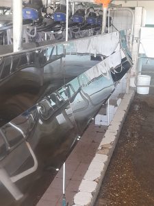 Chapones Anti Bosteo. 1 ▷ Chapones Anti Bosteo. 1 | RODEG ®