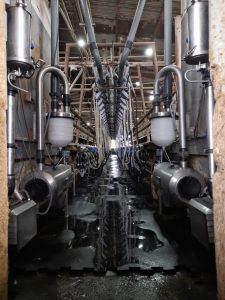 Ordeñadora Magna de 80 bajadas línea baja, con extractores de pezoneras automáticos CRA-4G, unificador de 500 LTS, sistema de variador de frecuencia y lavado automático con peristálticas. 2 ▷ Ordeñadora Magna de 80 bajadas línea baja, con extractores de pezoneras automáticos CRA-4G, unificador de 500 LTS, sistema de variador de frecuencia y lavado automático con peristálticas. 2 | RODEG ®