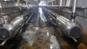 Ordeñadora Magna de 80 bajadas línea baja, con extractores de pezoneras automáticos CRA-4G, unificador de 500 LTS, sistema de variador de frecuencia y lavado automático con peristálticas. 3 ▷ Ordeñadora Magna de 80 bajadas línea baja, con extractores de pezoneras automáticos CRA-4G, unificador de 500 LTS, sistema de variador de frecuencia y lavado automático con peristálticas. 3 | RODEG ®