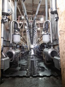 Ordeñadora Magna de 80 bajadas línea baja, con extractores de pezoneras automáticos CRA-4G, unificador de 500 LTS, sistema de variador de frecuencia y lavado automático con peristálticas. 5 ▷ Ordeñadora Magna de 80 bajadas línea baja, con extractores de pezoneras automáticos CRA-4G, unificador de 500 LTS, sistema de variador de frecuencia y lavado automático con peristálticas. 5 | RODEG ®