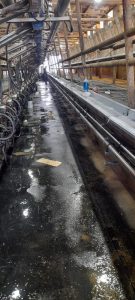 Ordeñadora Magna de 80 bajadas línea baja, con extractores de pezoneras automáticos CRA-4G, unificador de 500 LTS, sistema de variador de frecuencia y lavado automático con peristálticas. 4 ▷ Ordeñadora Magna de 80 bajadas línea baja, con extractores de pezoneras automáticos CRA-4G, unificador de 500 LTS, sistema de variador de frecuencia y lavado automático con peristálticas. 4 | RODEG ®