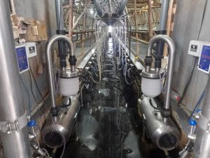 Ordeñadora Magna de 80 bajadas línea baja, con extractores de pezoneras automáticos CRA-4G, unificador de 500 LTS, sistema de variador de frecuencia y lavado automático con peristálticas. 7 ▷ Ordeñadora Magna de 80 bajadas línea baja, con extractores de pezoneras automáticos CRA-4G, unificador de 500 LTS, sistema de variador de frecuencia y lavado automático con peristálticas. 7 | RODEG ®