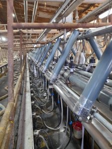 Ordeñadora Magna de 80 bajadas línea baja, con extractores de pezoneras automáticos CRA-4G, unificador de 500 LTS, sistema de variador de frecuencia y lavado automático con peristálticas. 8 ▷ Ordeñadora Magna de 80 bajadas línea baja, con extractores de pezoneras automáticos CRA-4G, unificador de 500 LTS, sistema de variador de frecuencia y lavado automático con peristálticas. 8 | RODEG ®