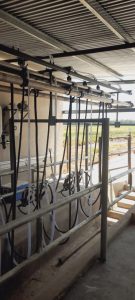 Reforma ampliación ordeñadora de 16 a 24 bajadas. Ampliación llenado y dosificado 16 a 24 bajadas. Conjunto generación de vacío 11-22 c/ventilación. Sistema variador de frecuencia 15hp p/bomba de vacío. Recibidor de leche de 90 lts. 8 ▷ Reforma ampliación ordeñadora de 16 a 24 bajadas. Ampliación llenado y dosificado 16 a 24 bajadas. Conjunto generación de vacío 11-22 c/ventilación. Sistema variador de frecuencia 15hp p/bomba de vacío. Recibidor de leche de 90 lts. 8 | RODEG ®