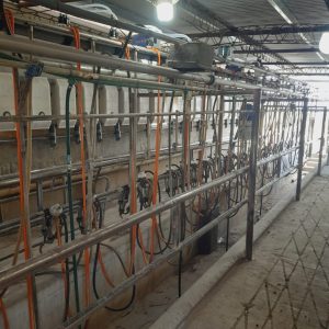 Reforma ampliación ordeñadora de 16 a 24 bajadas. Ampliación llenado y dosificado 16 a 24 bajadas. Conjunto generación de vacío 11-22 c/ventilación. Sistema variador de frecuencia 15hp p/bomba de vacío. Recibidor de leche de 90 lts. 5 ▷ Reforma ampliación ordeñadora de 16 a 24 bajadas. Ampliación llenado y dosificado 16 a 24 bajadas. Conjunto generación de vacío 11-22 c/ventilación. Sistema variador de frecuencia 15hp p/bomba de vacío. Recibidor de leche de 90 lts. 5 | RODEG ®