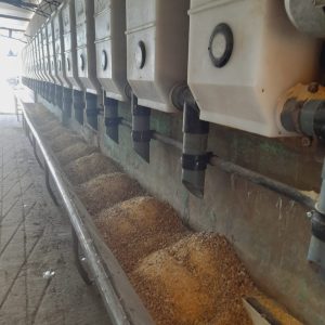 Reforma ampliación ordeñadora de 16 a 24 bajadas. Ampliación llenado y dosificado 16 a 24 bajadas. Conjunto generación de vacío 11-22 c/ventilación. Sistema variador de frecuencia 15hp p/bomba de vacío. Recibidor de leche de 90 lts. 4 ▷ Reforma ampliación ordeñadora de 16 a 24 bajadas. Ampliación llenado y dosificado 16 a 24 bajadas. Conjunto generación de vacío 11-22 c/ventilación. Sistema variador de frecuencia 15hp p/bomba de vacío. Recibidor de leche de 90 lts. 4 | RODEG ®