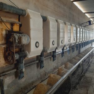 Reforma ampliación ordeñadora de 16 a 24 bajadas. Ampliación llenado y dosificado 16 a 24 bajadas. Conjunto generación de vacío 11-22 c/ventilación. Sistema variador de frecuencia 15hp p/bomba de vacío. Recibidor de leche de 90 lts. 6 ▷ Reforma ampliación ordeñadora de 16 a 24 bajadas. Ampliación llenado y dosificado 16 a 24 bajadas. Conjunto generación de vacío 11-22 c/ventilación. Sistema variador de frecuencia 15hp p/bomba de vacío. Recibidor de leche de 90 lts. 6 | RODEG ®