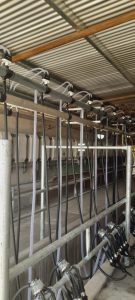 Reforma ampliación ordeñadora de 16 a 24 bajadas. Ampliación llenado y dosificado 16 a 24 bajadas. Conjunto generación de vacío 11-22 c/ventilación. Sistema variador de frecuencia 15hp p/bomba de vacío. Recibidor de leche de 90 lts. 2 ▷ Reforma ampliación ordeñadora de 16 a 24 bajadas. Ampliación llenado y dosificado 16 a 24 bajadas. Conjunto generación de vacío 11-22 c/ventilación. Sistema variador de frecuencia 15hp p/bomba de vacío. Recibidor de leche de 90 lts. 2 | RODEG ®