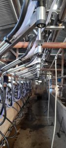 Instalamos Ordeñadora Rodeg Millenium 18 bajadas con brazos de posicionamiento M-18 con Pulsado RG-3. 4 ▷ Instalamos Ordeñadora Rodeg Millenium 18 bajadas con brazos de posicionamiento M-18 con Pulsado RG-3. 4 | RODEG ®