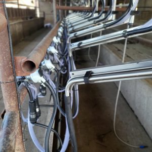 Instalamos Ordeñadora Rodeg Millenium 18 bajadas con brazos de posicionamiento M-18 con Pulsado RG-3. 2 ▷ Instalamos Ordeñadora Rodeg Millenium 18 bajadas con brazos de posicionamiento M-18 con Pulsado RG-3. 2 | RODEG ®