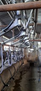 Instalamos Ordeñadora Rodeg Millenium 18 bajadas con brazos de posicionamiento M-18 con Pulsado RG-3. 1 ▷ Instalamos Ordeñadora Rodeg Millenium 18 bajadas con brazos de posicionamiento M-18 con Pulsado RG-3. 1 | RODEG ®