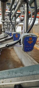 Instalamos Ordeñadora Rodeg Millenium de 10 puestos con brazos de posicionamiento M-18 y extractores de pezoneras automáticos CRA 4-G. 8 ▷ Instalamos Ordeñadora Rodeg Millenium de 10 puestos con brazos de posicionamiento M-18 y extractores de pezoneras automáticos CRA 4-G. 8 | RODEG ®