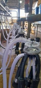 Reforma de Ordeñadora Magna de 10 bajadas con pulsado RG-3. 6 ▷ Reforma de Ordeñadora Magna de 10 bajadas con pulsado RG-3. 6 | RODEG ®