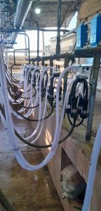 Reforma de Ordeñadora Magna de 10 bajadas con pulsado RG-3. 4 ▷ Reforma de Ordeñadora Magna de 10 bajadas con pulsado RG-3. 4 | RODEG ®